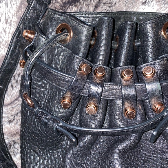 Alexander Wang Large Diego Bucket bag - Picture 5 of 15